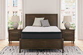 J&M Furniture - Ashley Furniture - Limited Edition PT King Mattress - King - M41241